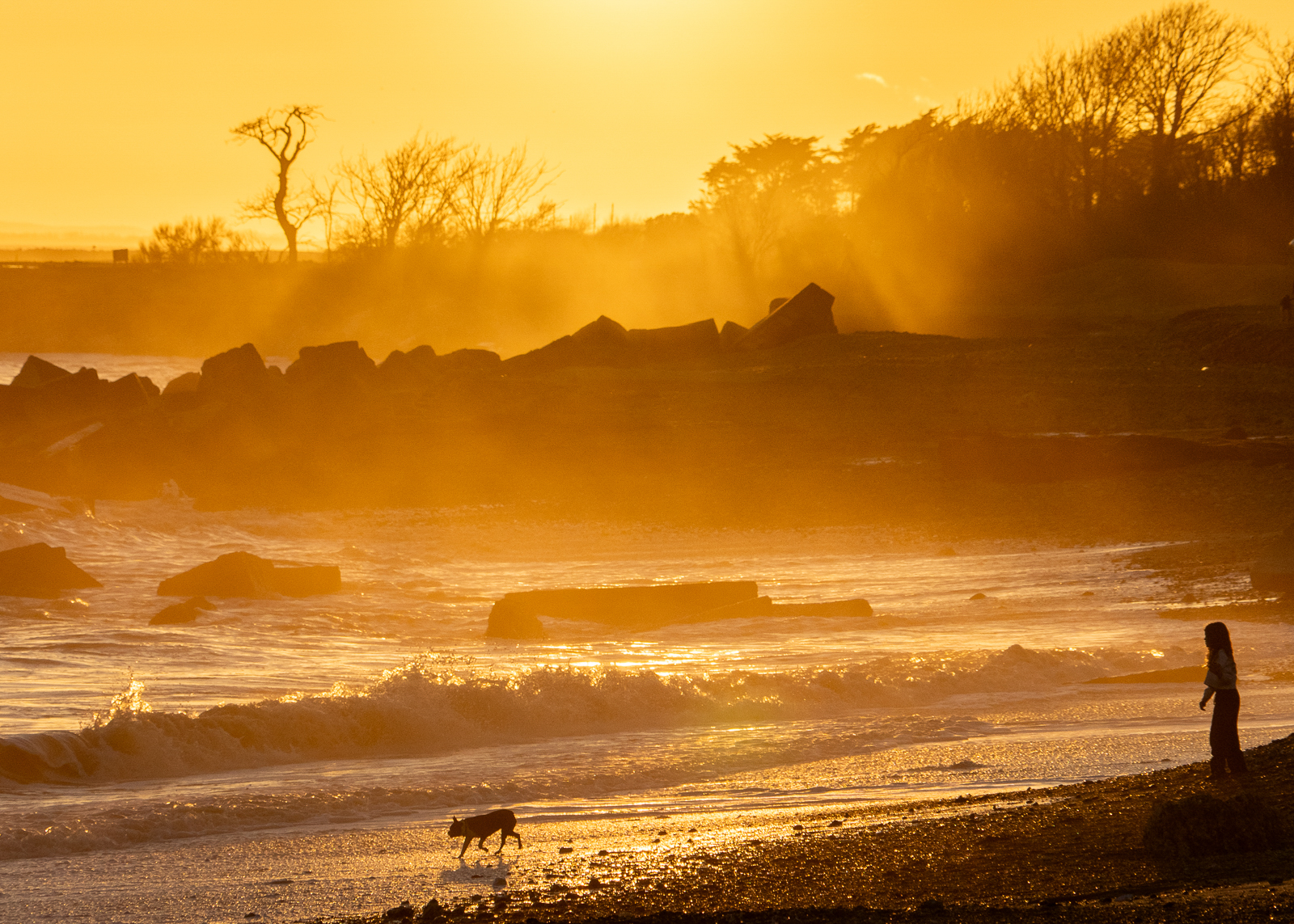 Photography by Chris Allington